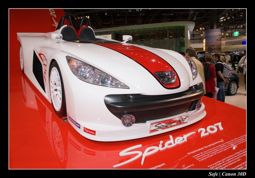 2006 - 10 - Mondial auto Paris 274
